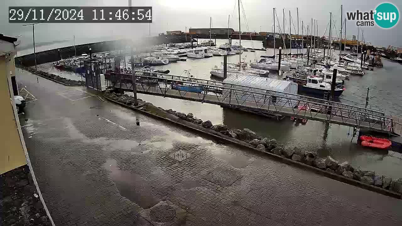 Fenit Marina camera en vivo