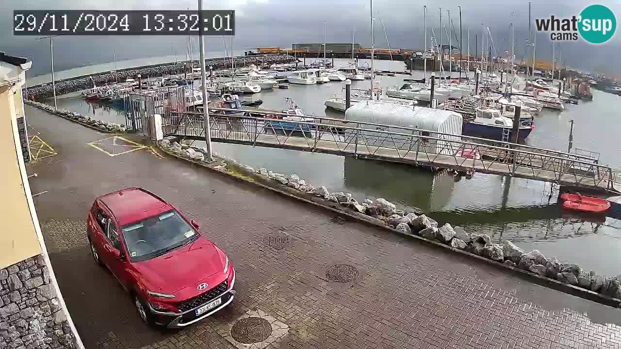 Fenit Marina spletna kamera