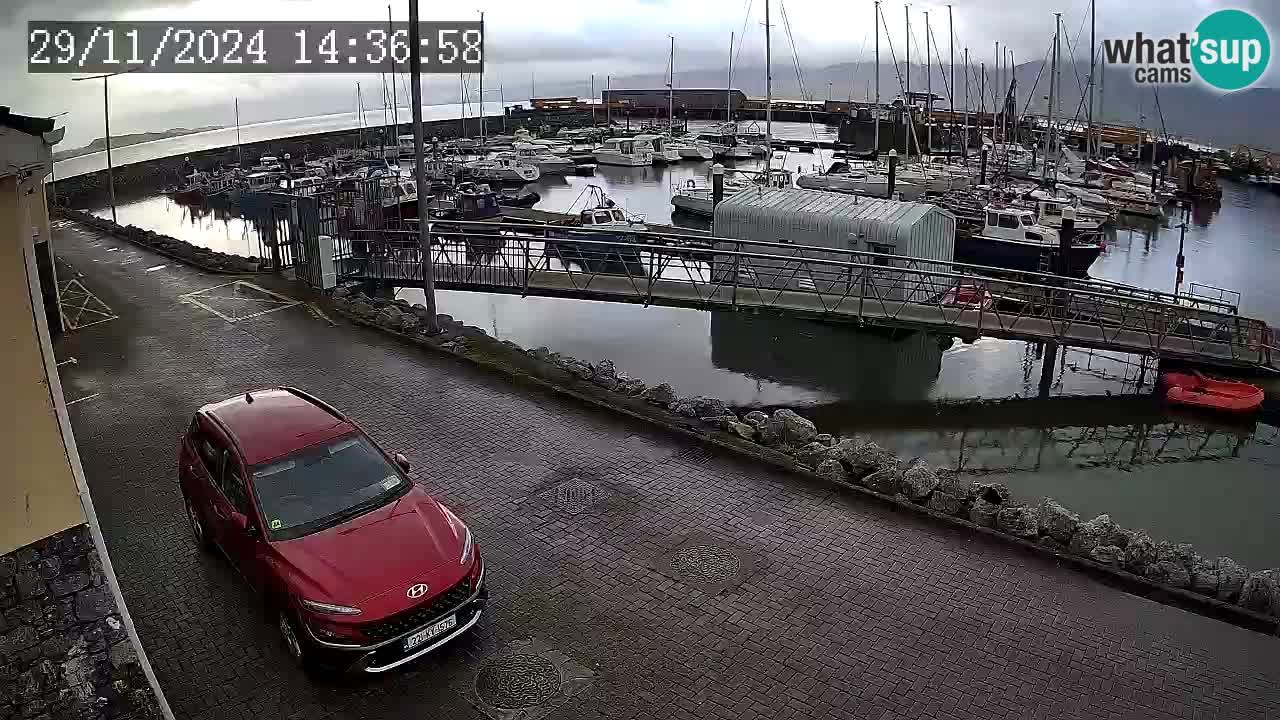 Fenit Marina web kamera