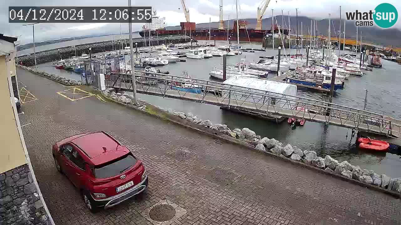 Fenit Marina spletna kamera