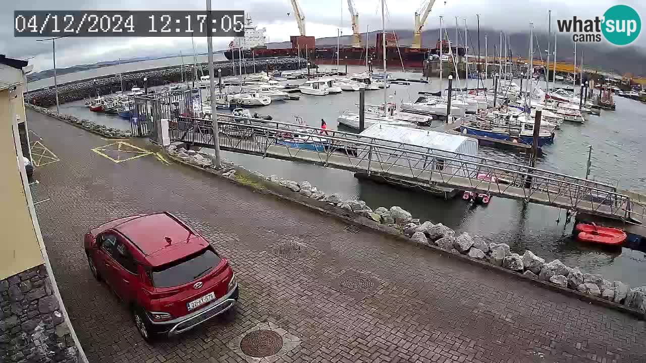 Fenit Marina web kamera