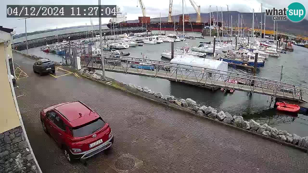 Fenit Marina web kamera