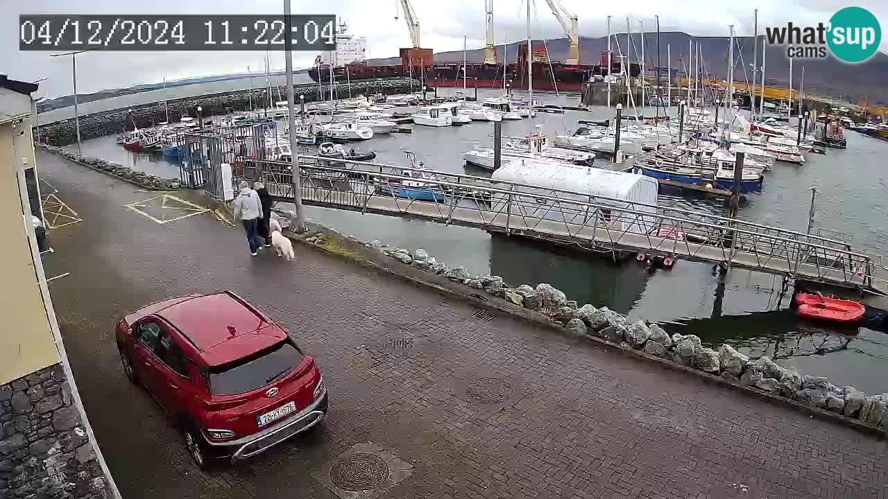 Fenit Marina webcam