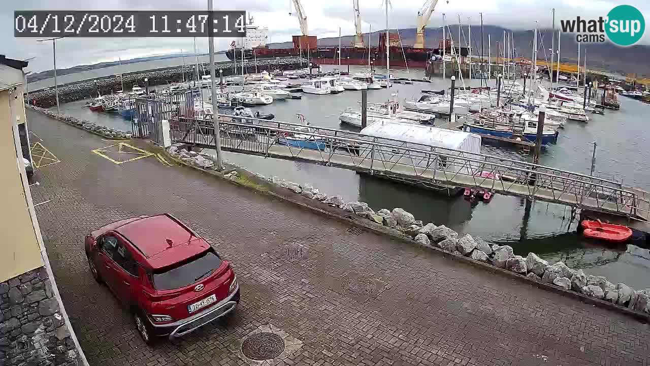 Fenit Marina webcam