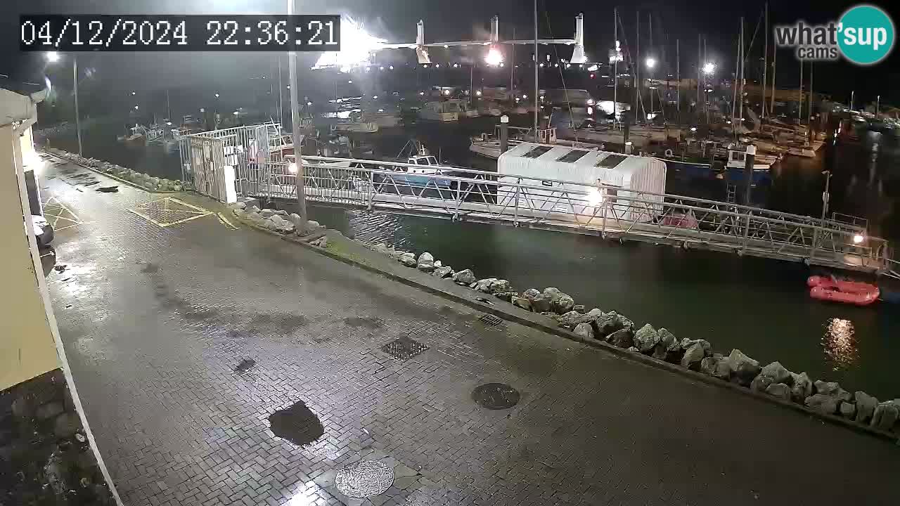 Fenit Marina webcam