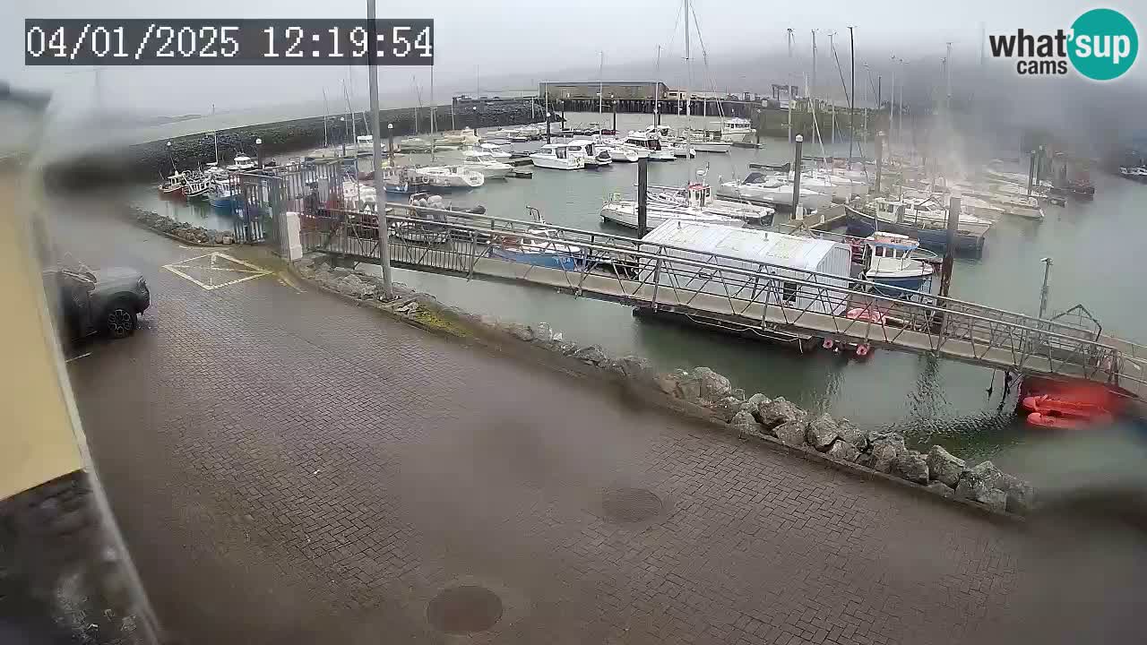 Fenit Marina live webcam