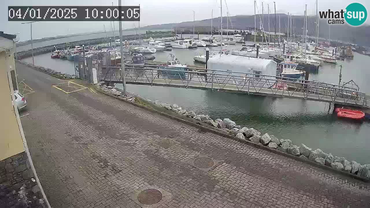 Fenit Marina livecam