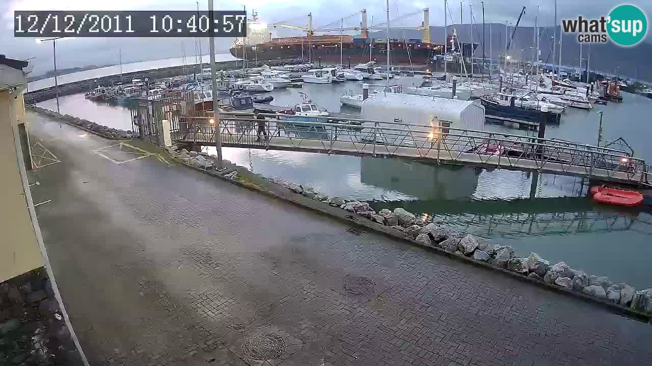 Fenit Marina spletna kamera