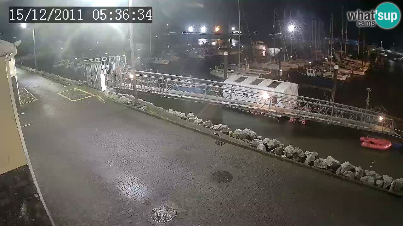 Fenit Marina livecam