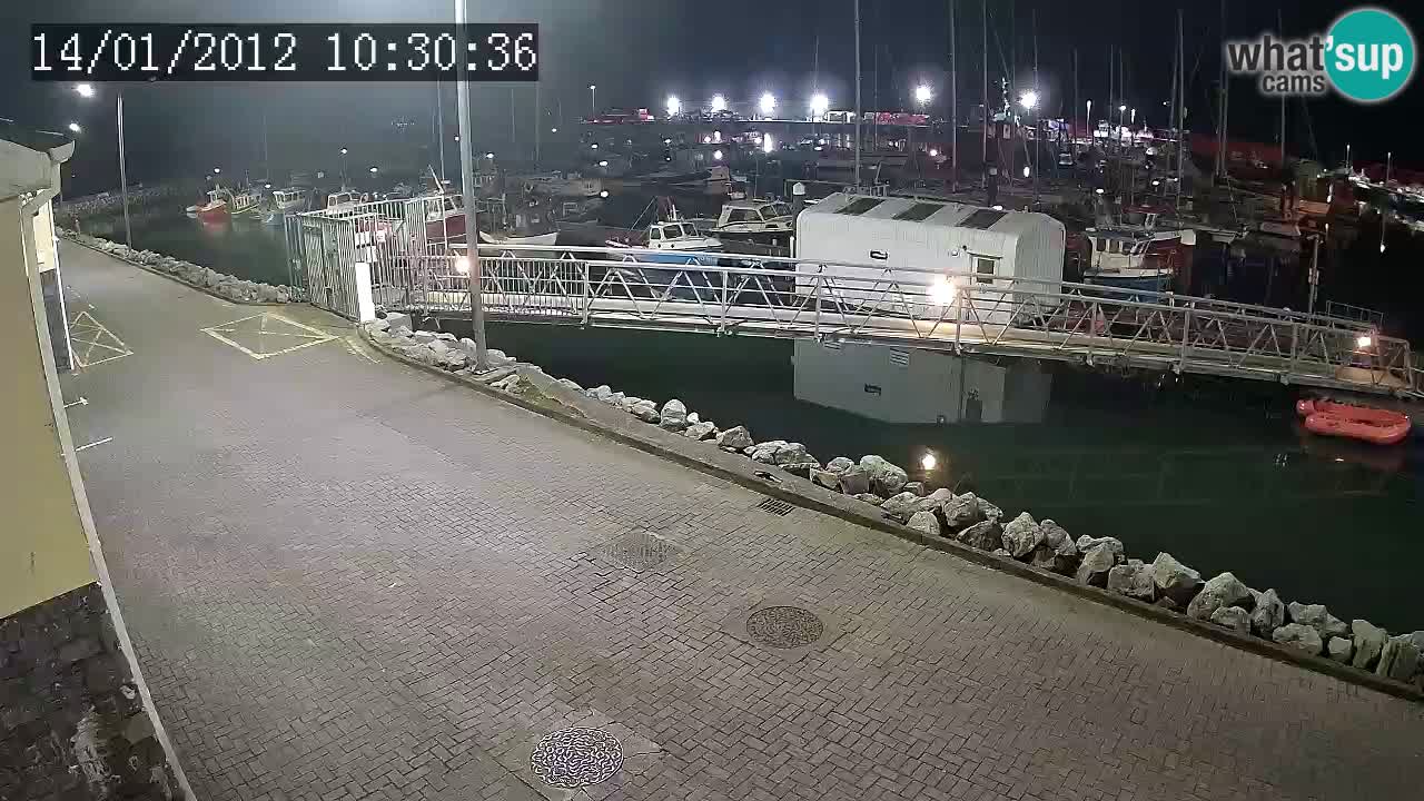 Fenit Marina live webcam