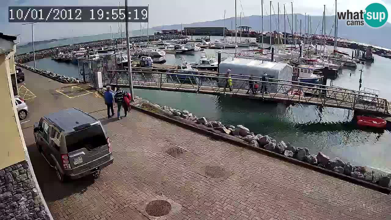 Fenit Marina webcam