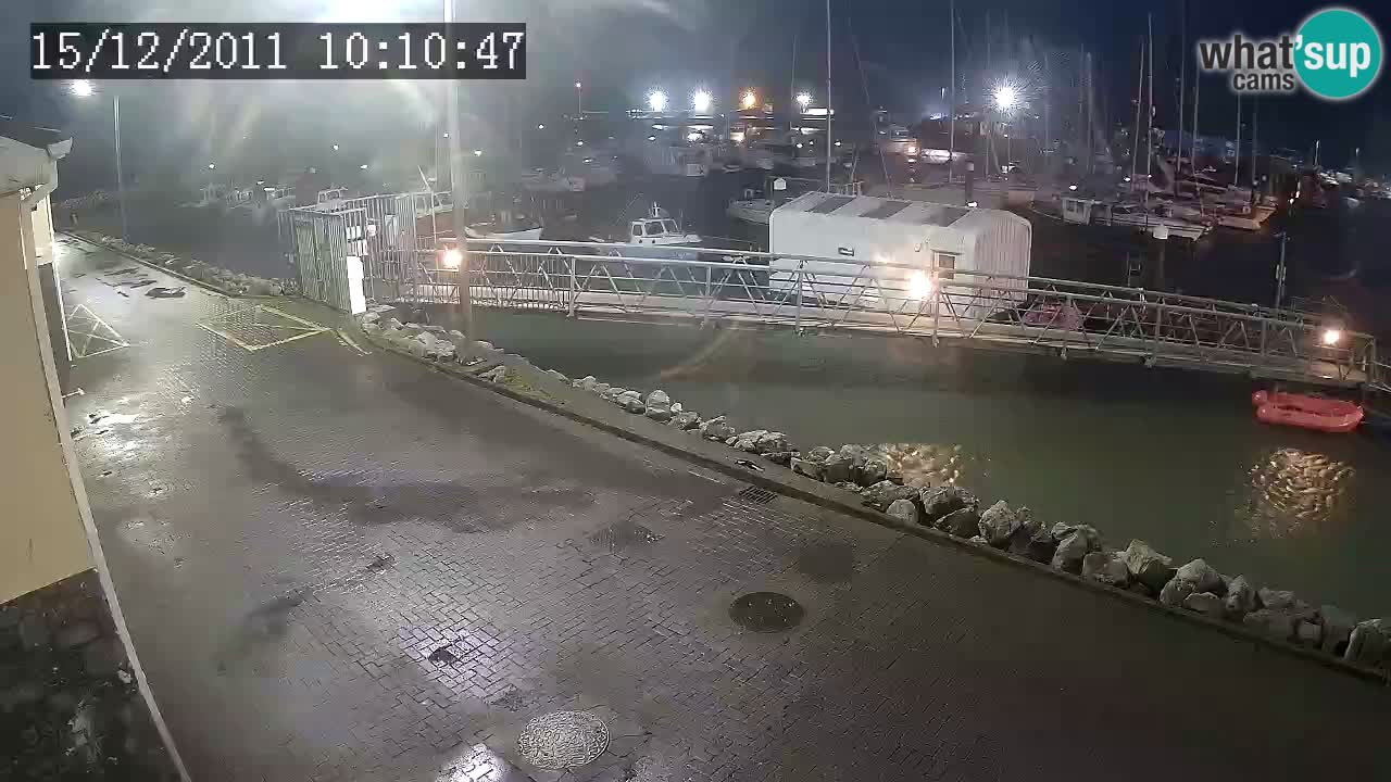 Fenit Marina live webcam