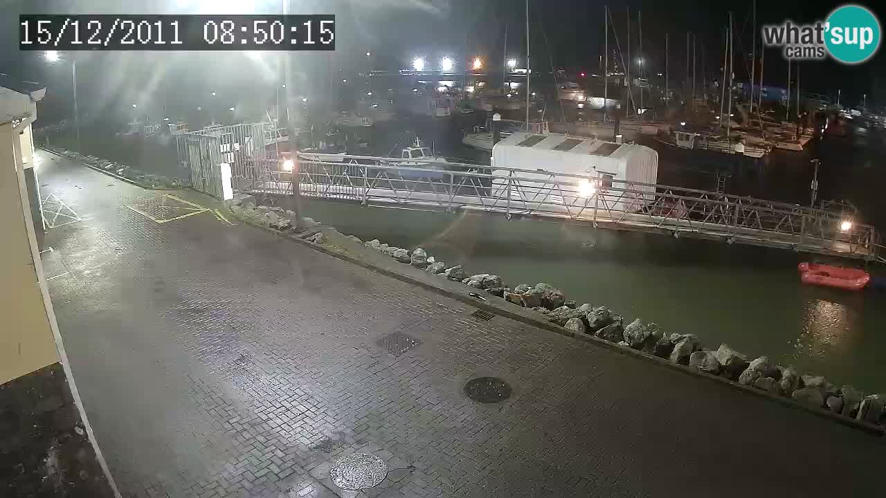 Fenit Marina livecam