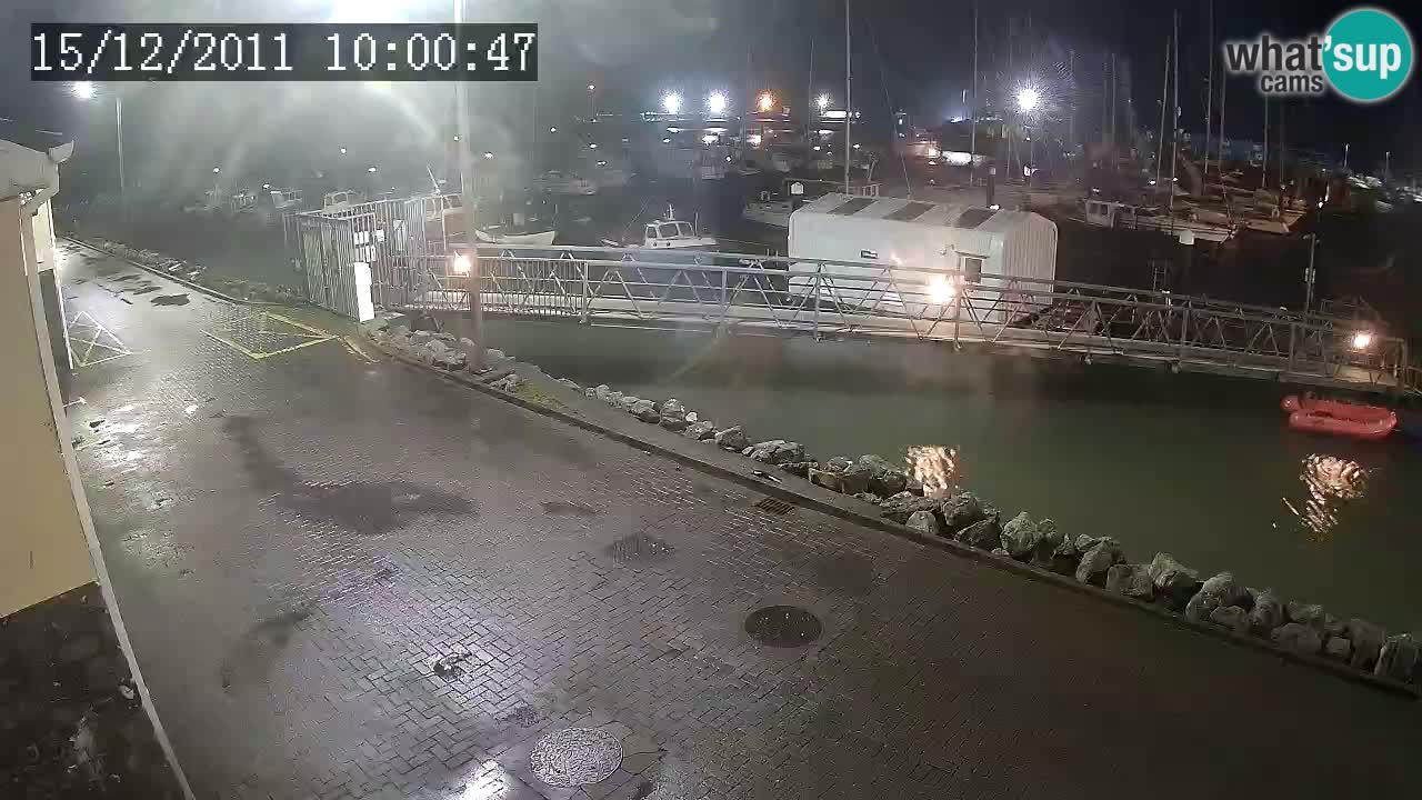 Fenit Marina livecam