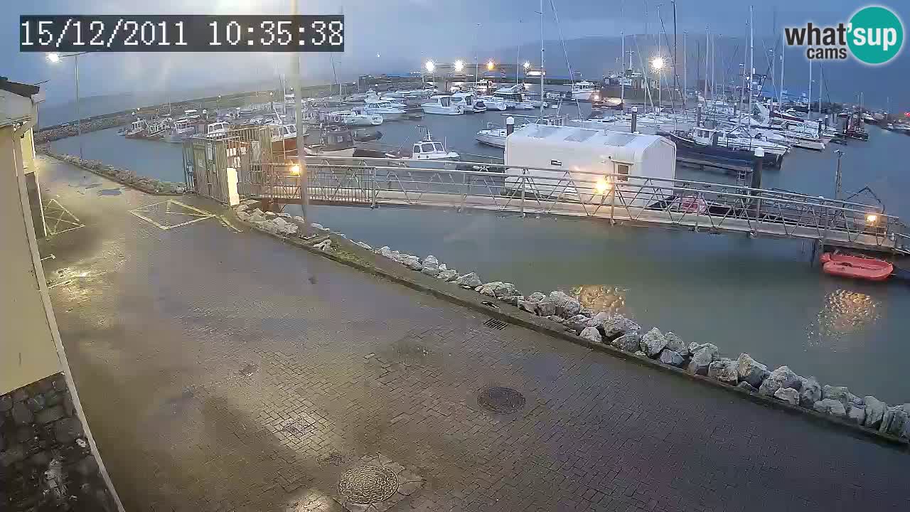 Fenit Marina live webcam