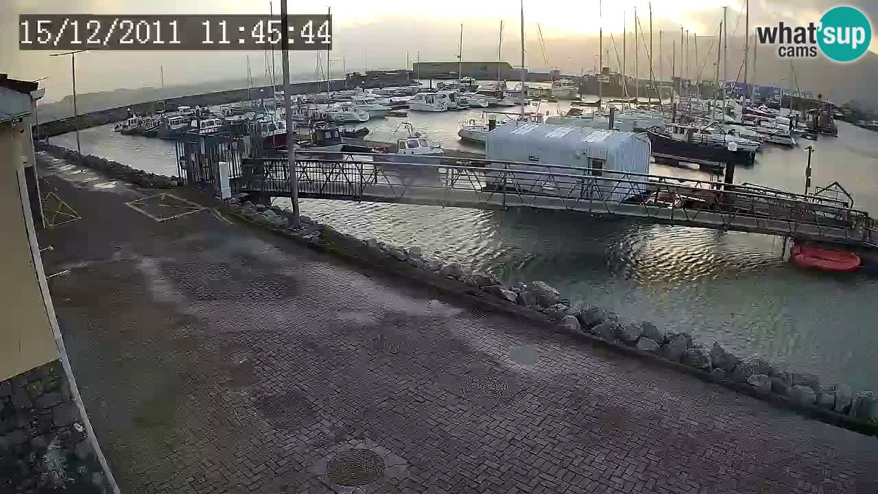 Fenit Marina livecam