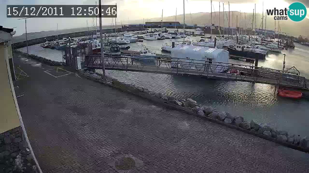 Fenit Marina live webcam