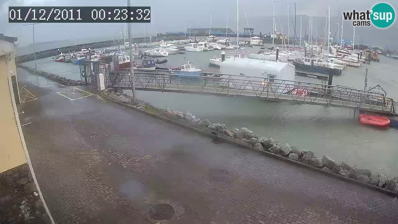 Fenit Marina livecam