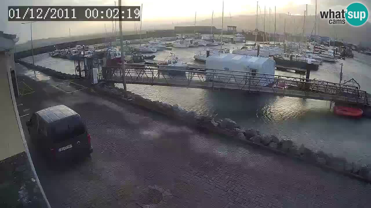 Fenit Marina spletna kamera