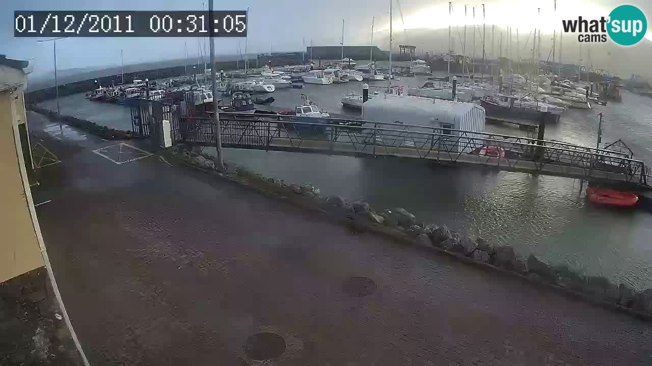 Fenit Marina spletna kamera