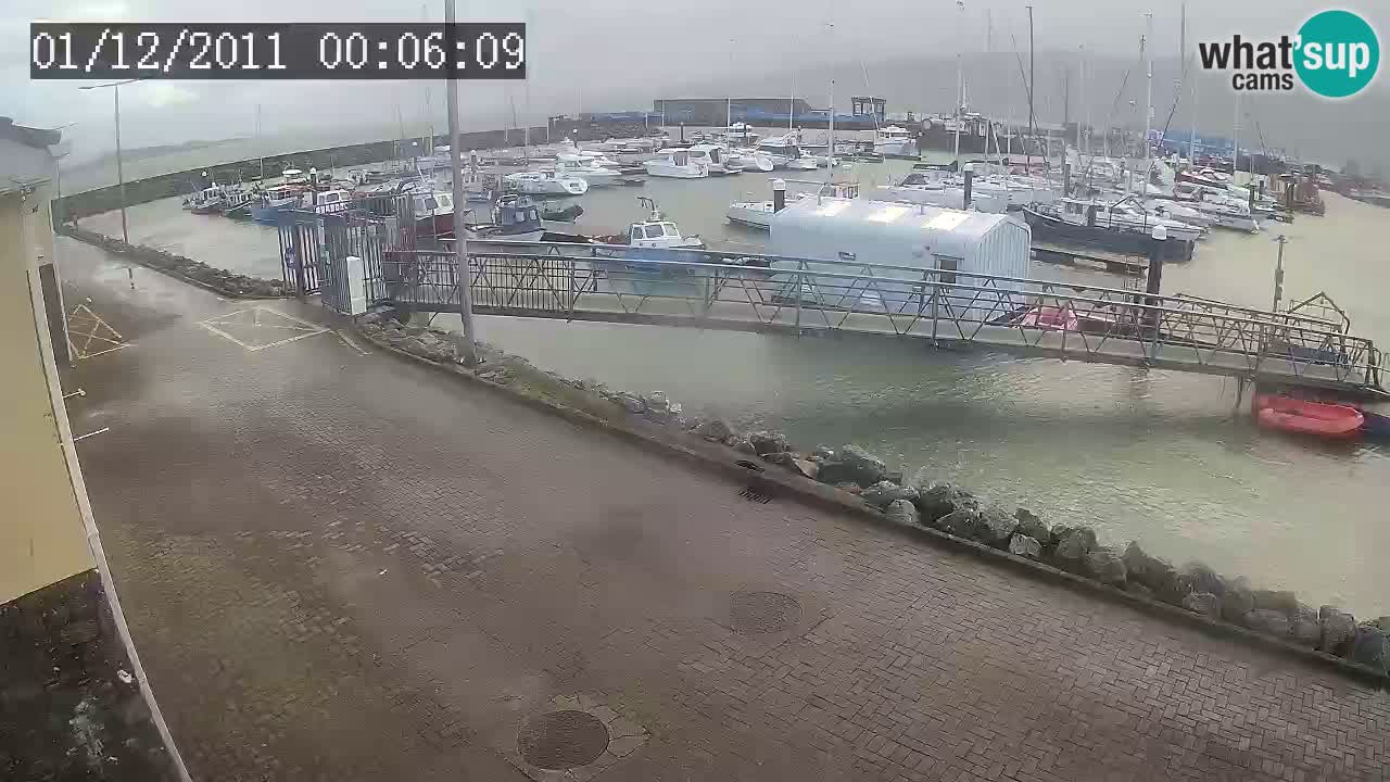 Fenit Marina spletna kamera