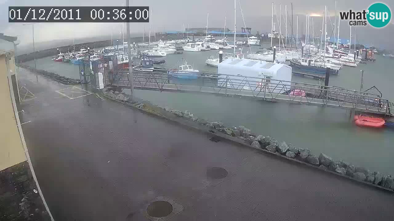 Fenit Marina web kamera