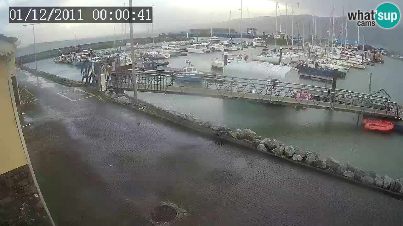 Fenit Marina spletna kamera