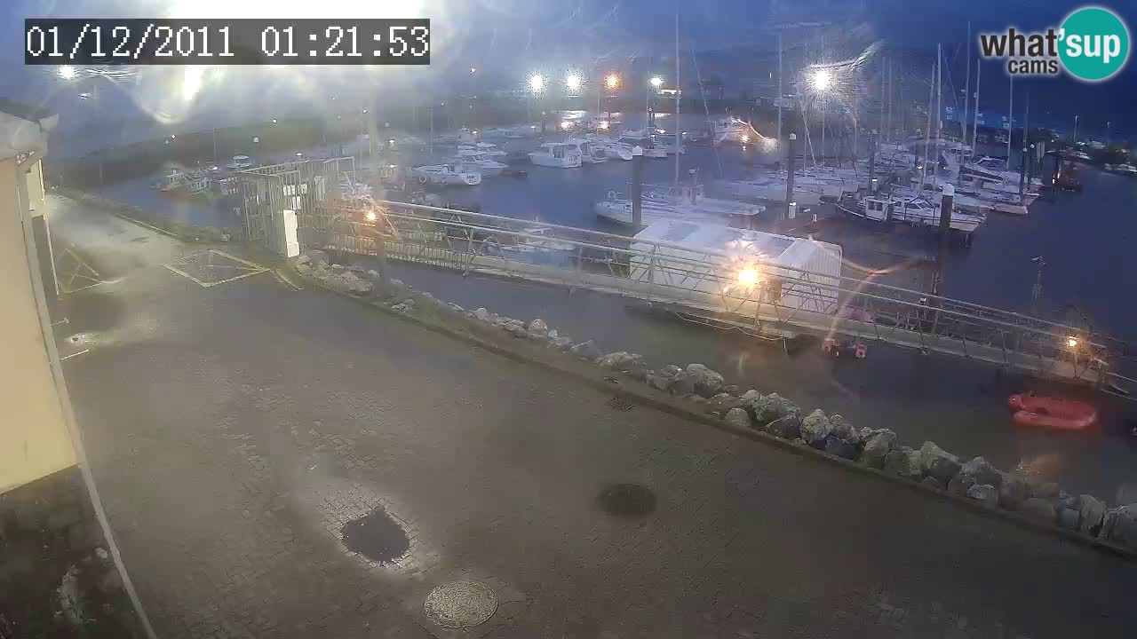 Fenit Marina spletna kamera