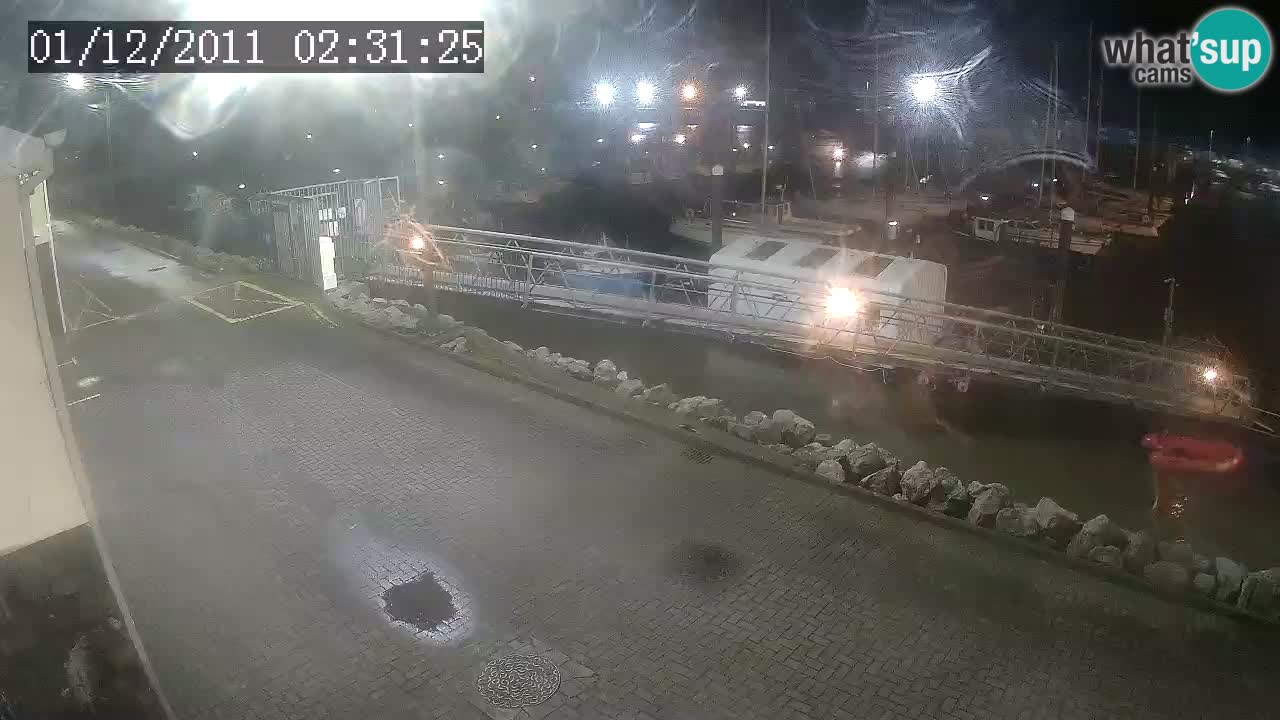 Fenit Marina livecam