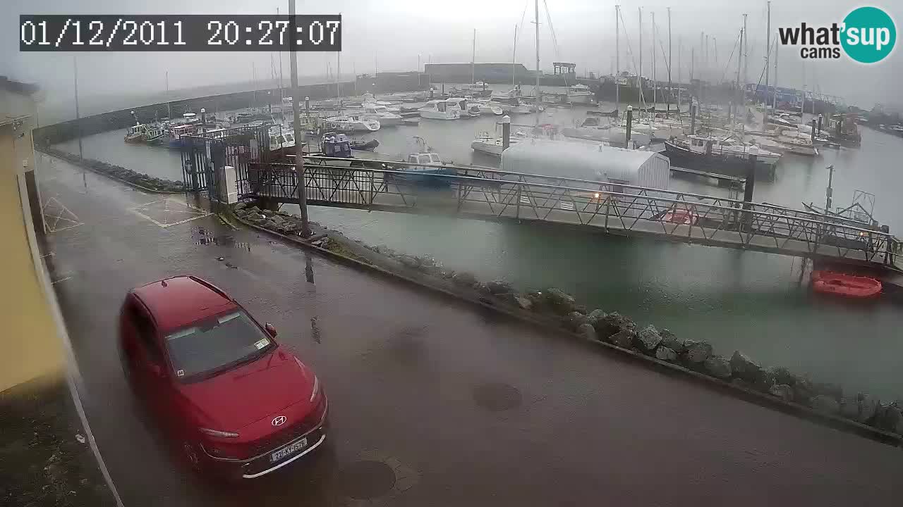 Fenit Marina live webcam