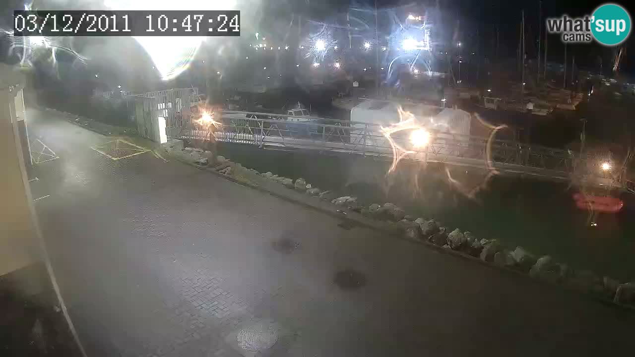 Fenit Marina live webcam