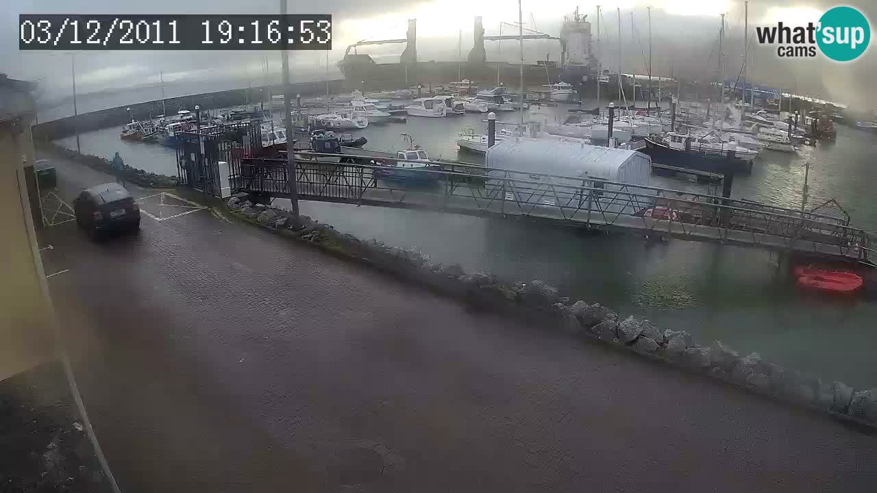 Fenit Marina spletna kamera