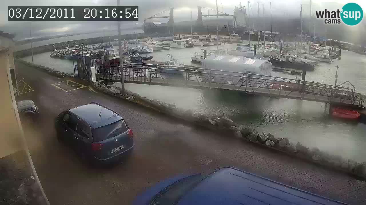 Fenit Marina webcam