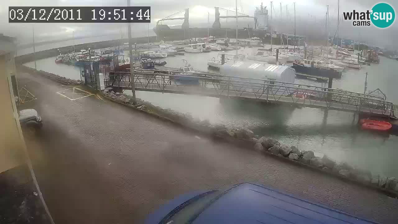 Fenit Marina spletna kamera