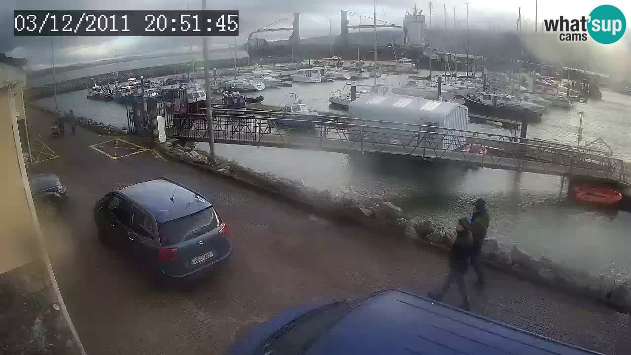 Fenit Marina webcam