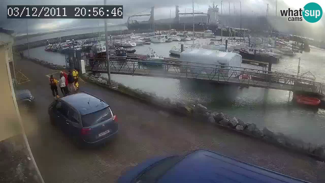 Fenit Marina livecam