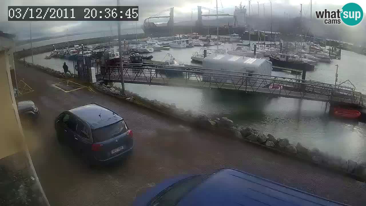 Fenit Marina webcam