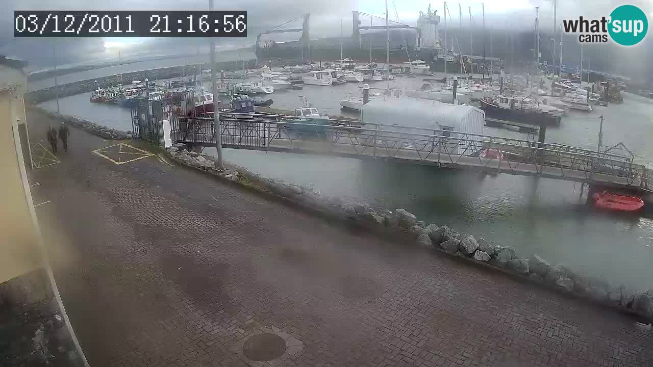 Fenit Marina livecam