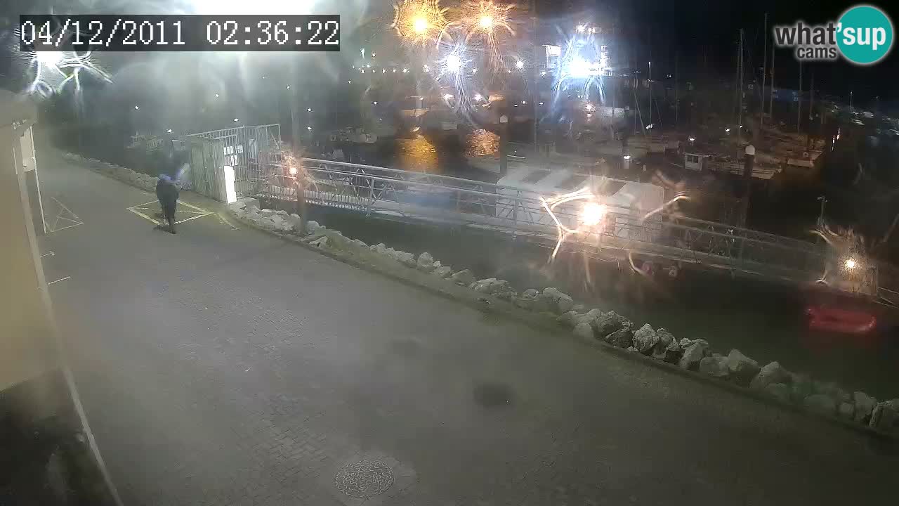 Fenit Marina livecam