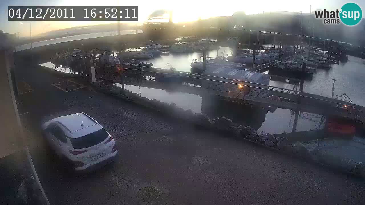 Fenit Marina livecam