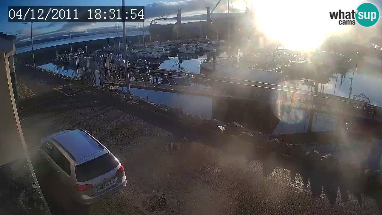 Fenit Marina live webcam