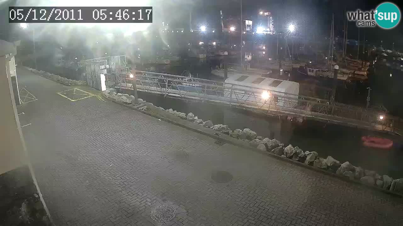 Fenit Marina live webcam