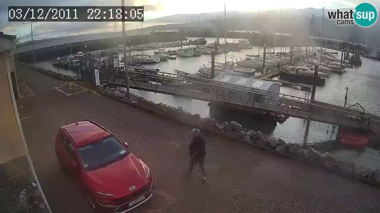 Fenit Marina webcam