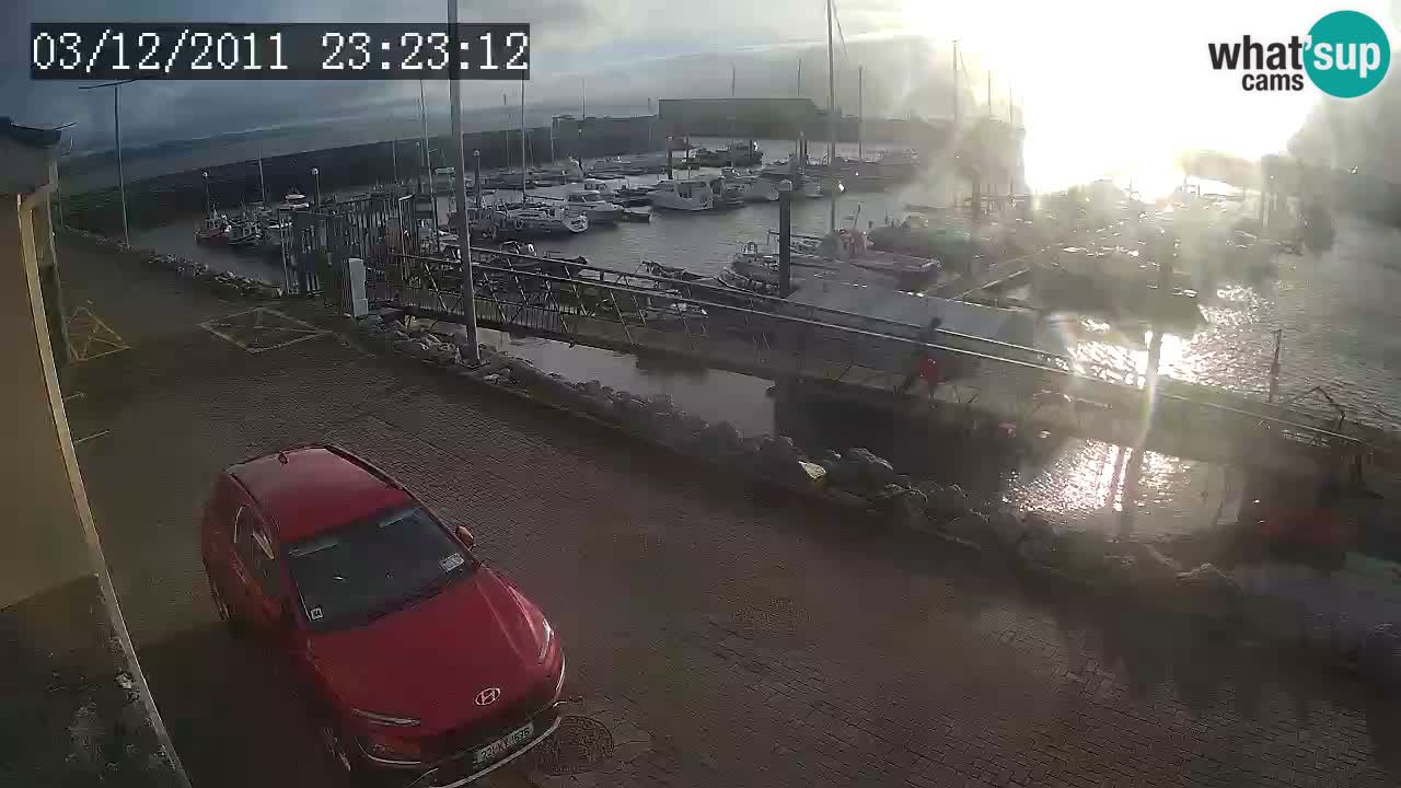 Fenit Marina live webcam