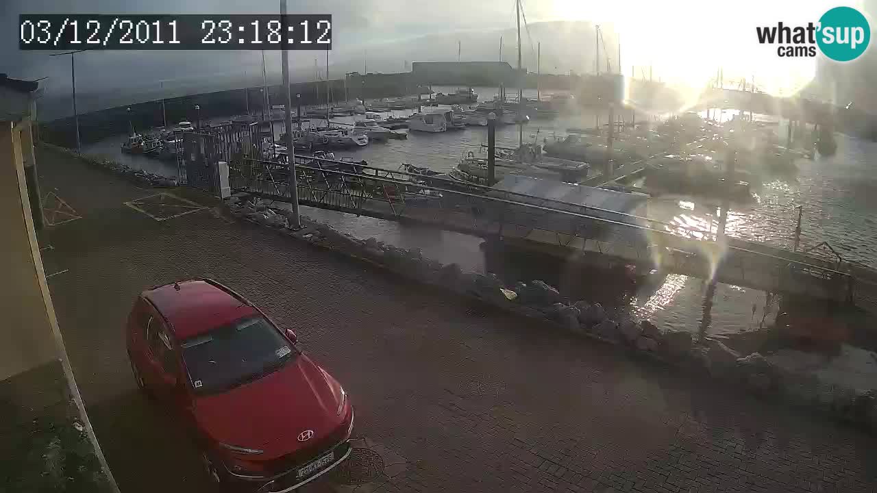 Fenit Marina webcam