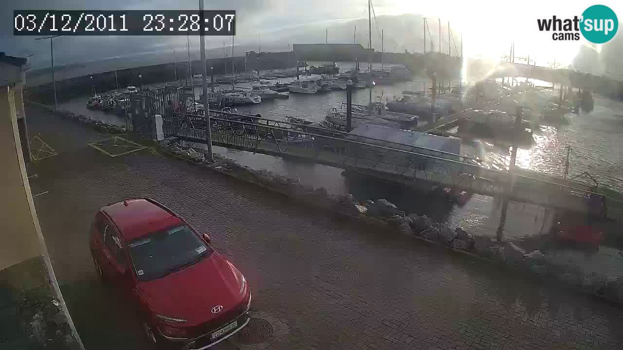 Fenit Marina spletna kamera