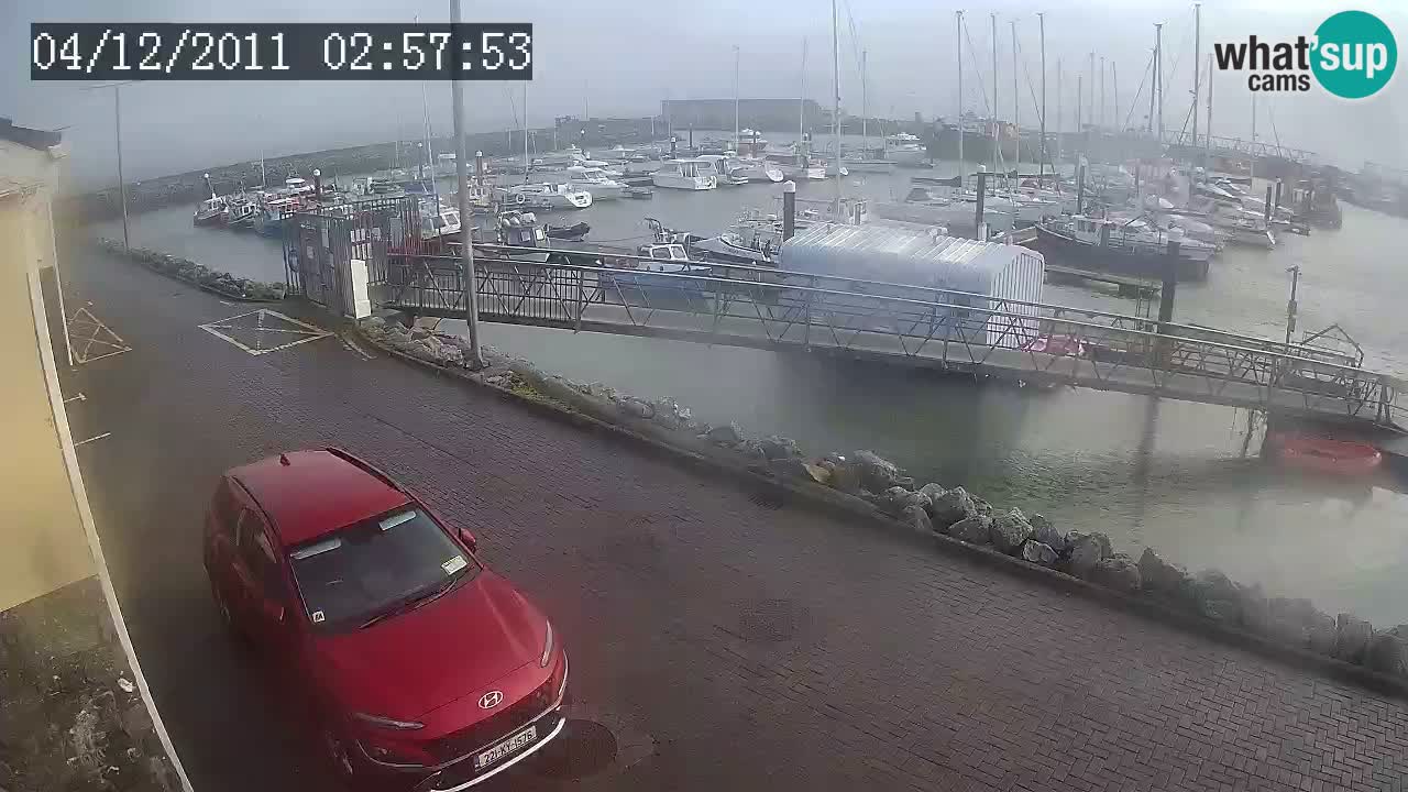 Fenit Marina spletna kamera