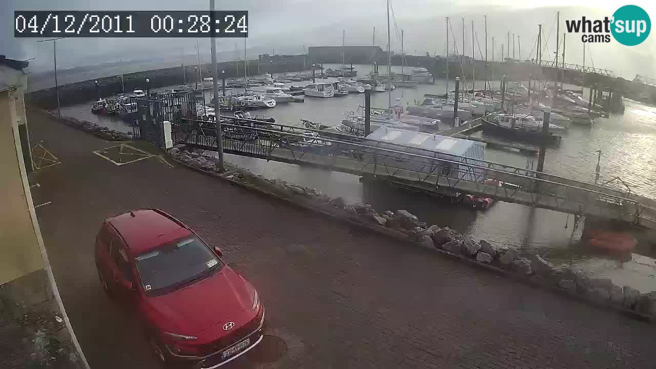 Fenit Marina livecam