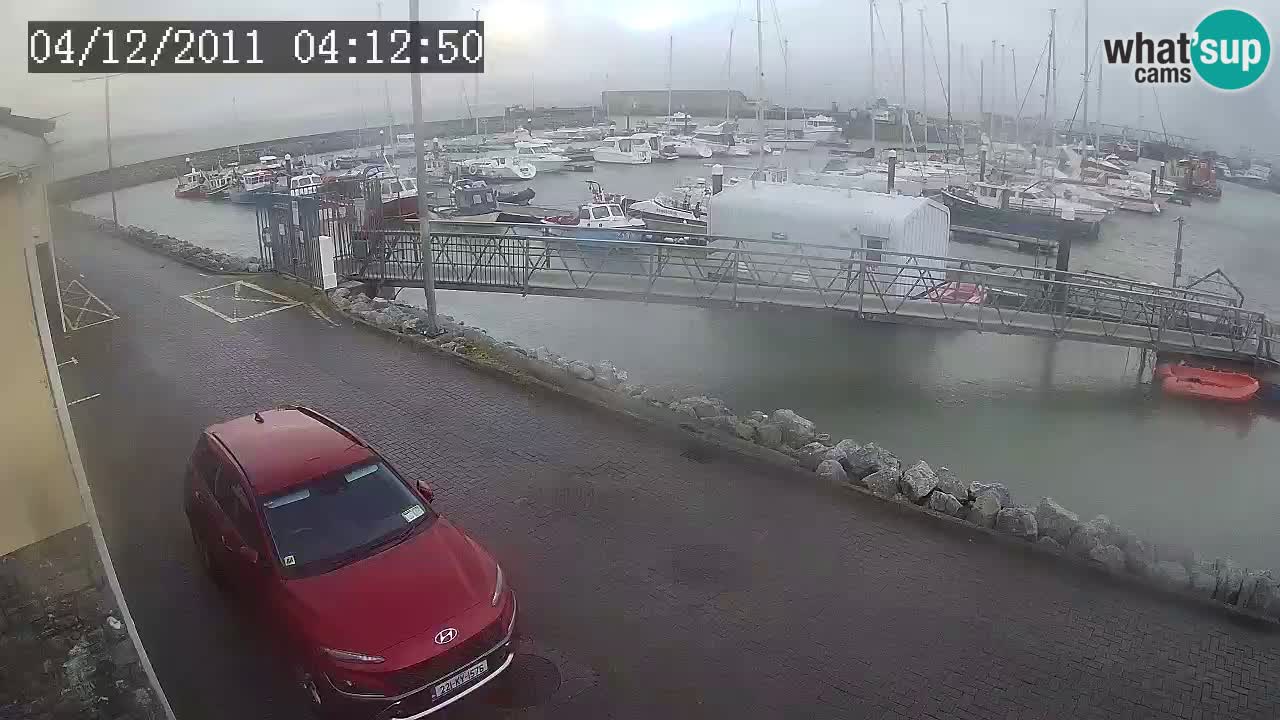 Fenit Marina live webcam