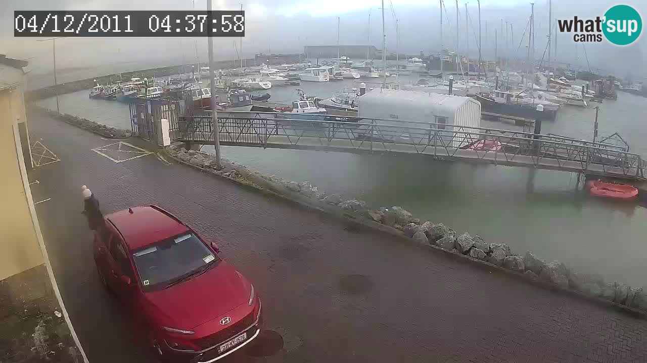 Fenit Marina webcam